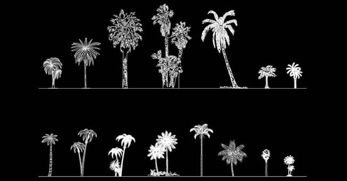 ​CAD blocks of palm trees in elevation dwg