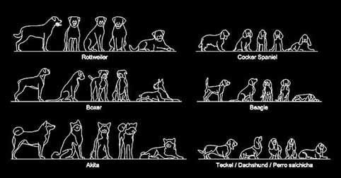 CAD blocks of dogs in elevation views dwg 2d