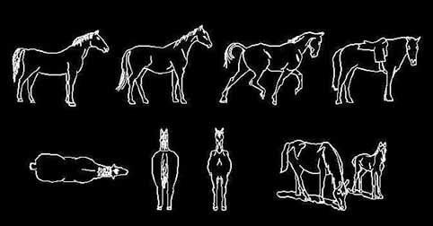 CAD blocks of Horses in plan and elevation views 2d