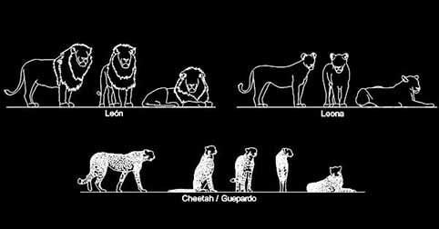 ​CAD blocks of Lion and cheetah in elevation views dwg