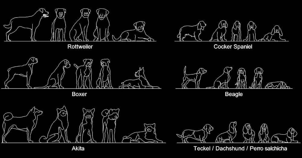CAD Blocks of Dogs in Elevation Views Dwg 2d