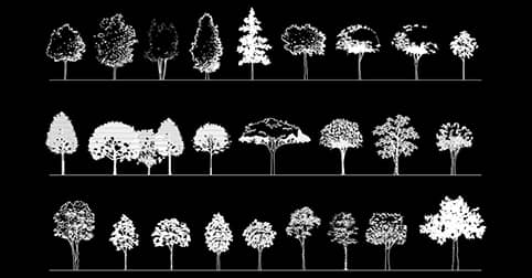 ​​Free Trees, pines CAD blocks in elevation 2d drawings