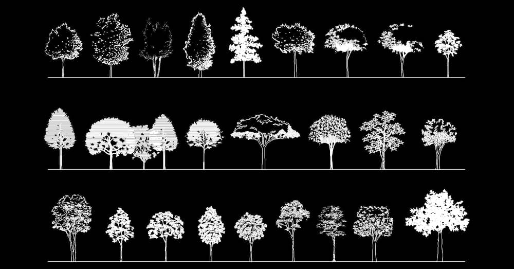 Free Trees CAD blocks in elevation 2d drawings dwg